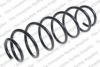  4200715 Coil Spring